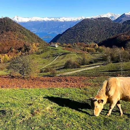 Valle Intelvi - Appartamento *