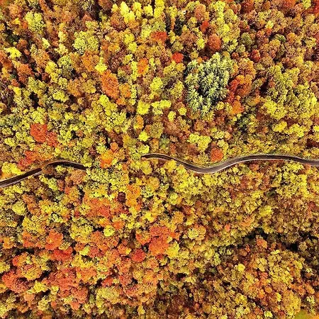 Appartamento Valle Intelvi -