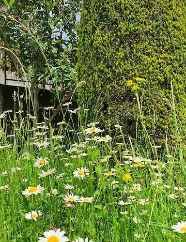 Apartment Valle Intelvi -