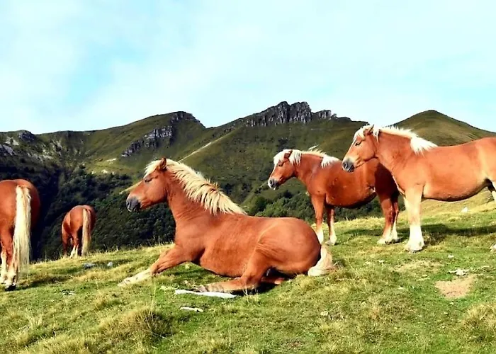 Apartment Valle Intelvi -