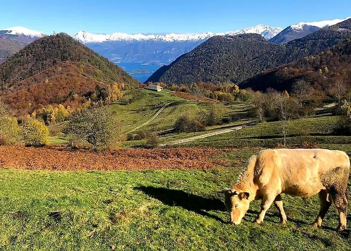 Valle Intelvi - Apartamento *