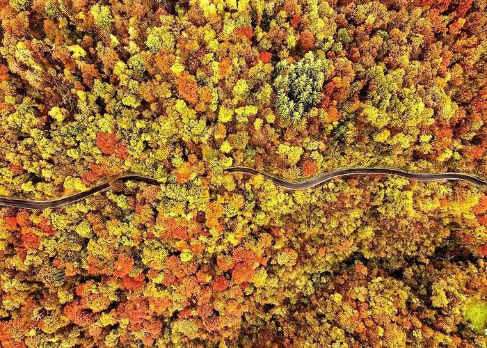 Apartment Valle Intelvi -