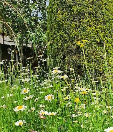 Lejlighed Valle Intelvi -