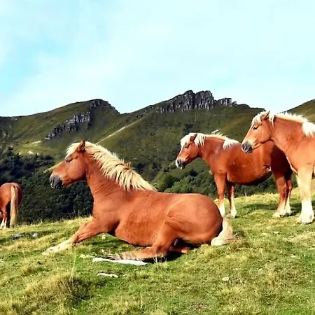 Lejlighed Valle Intelvi -